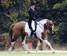 Aldon CCI*