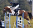 Aldon CCI*