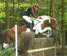 Withington Novice