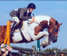 Grand Prix Working Hunter