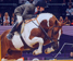 Brynach Horse Of The Year