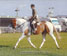 Brechfa Wenna