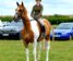 brechfa-mab-bryn-competing